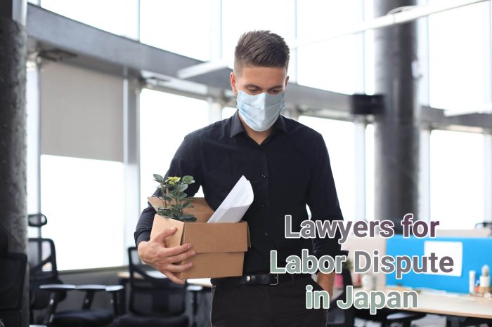 Employment lawyers malpractice lawyer consultation compensated mergers acquisitions novus month